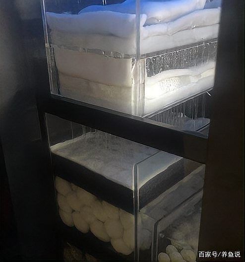 如何預防魚缸再次滋生細菌（北漂魚缸水質管理全攻略:魚缸水質管理全攻略）