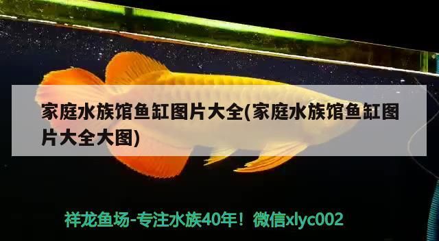 家庭水族館魚缸圖片大全(家庭水族館魚缸圖片大全大圖) 家庭水族館魚缸圖片大全(家庭水族館魚缸圖片大全大圖) 觀賞魚百科