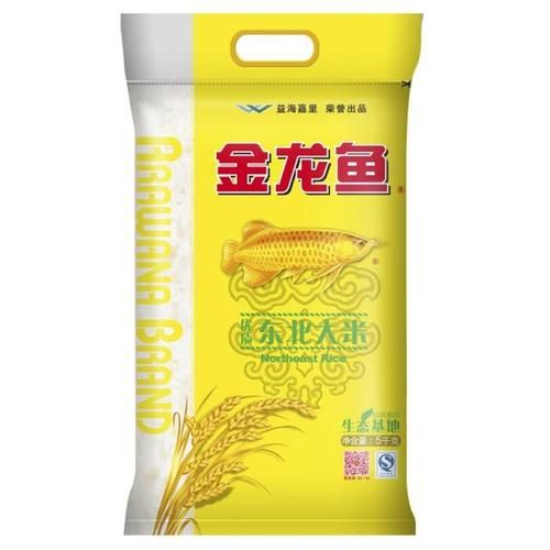 雷龍魚分公母：雷龍魚分公母圖解（如何識別雷龍魚的公母）