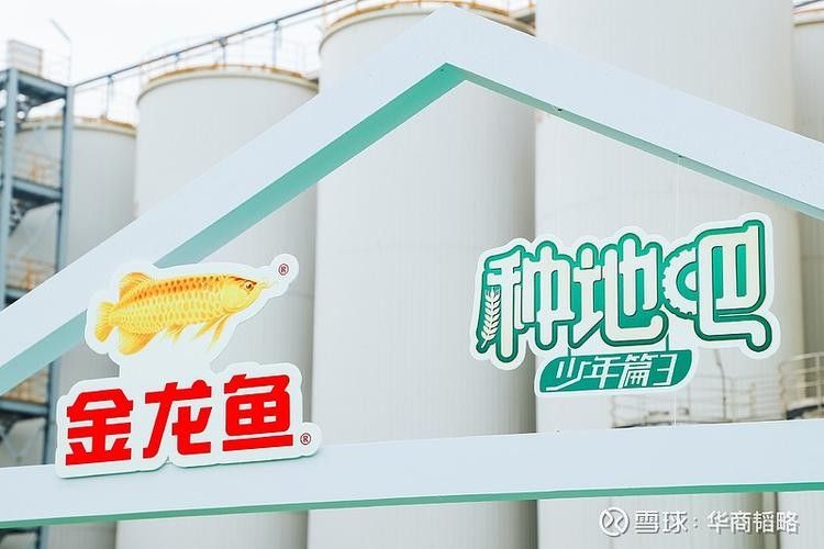 如何在金龍魚(yú)吧發(fā)帖（金龍魚(yú)吧發(fā)布帖子技巧）