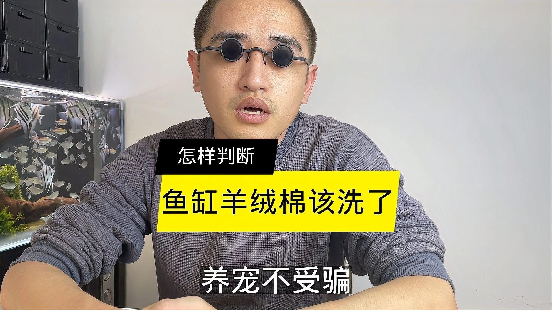 如何判斷濾材是否需要清洗（如何判斷魚缸濾材是否需要清洗？） 如何判斷濾材是否需要清洗（如何判斷魚缸濾材是否需要清洗？） 龍魚百科 第1張