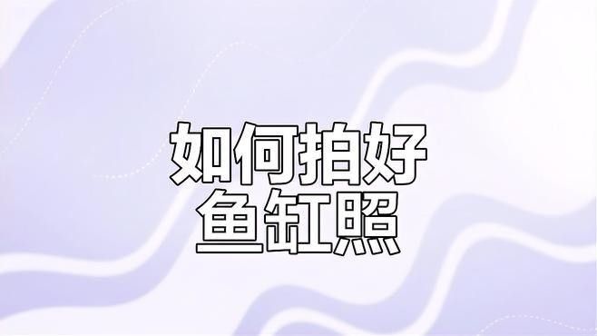 哪個應用最適合處理雷龍魚照片（雷龍魚照片后期處理應用推薦） 哪個應用最適合處理雷龍魚照片（雷龍魚照片后期處理應用推薦） 龍魚百科 第7張