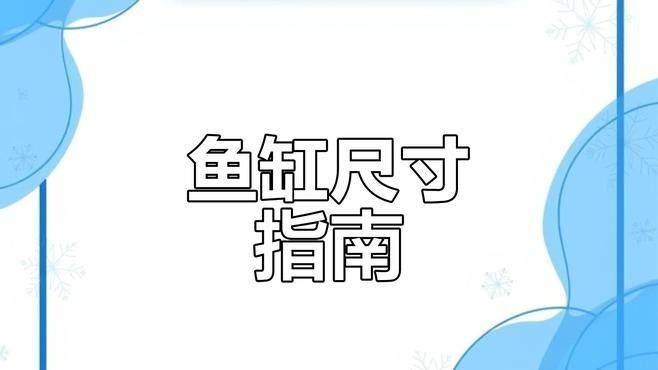 龍魚和發財魚混養需要多大的魚缸？（魚和發財魚混養的魚缸大小取決于多種因素） 龍魚和發財魚混養需要多大的魚缸？（魚和發財魚混養的魚缸大小取決于多種因素） 龍魚百科 第5張