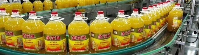 豐益香港是否有減持計劃？（豐益香港減持計劃是否存在？）