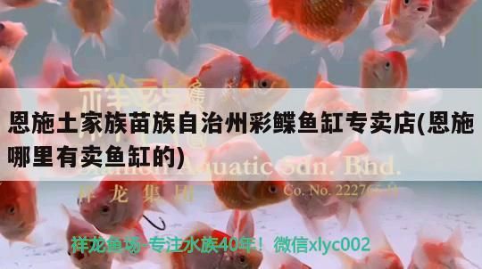 恩施土家族苗族自治州彩鰈魚缸專賣店(恩施哪里有賣魚缸的)（恩施哪里有賣魚缸的） 恩施土家族苗族自治州彩鰈魚缸專賣店(恩施哪里有賣魚缸的)（恩施哪里有賣魚缸的） 觀賞魚百科