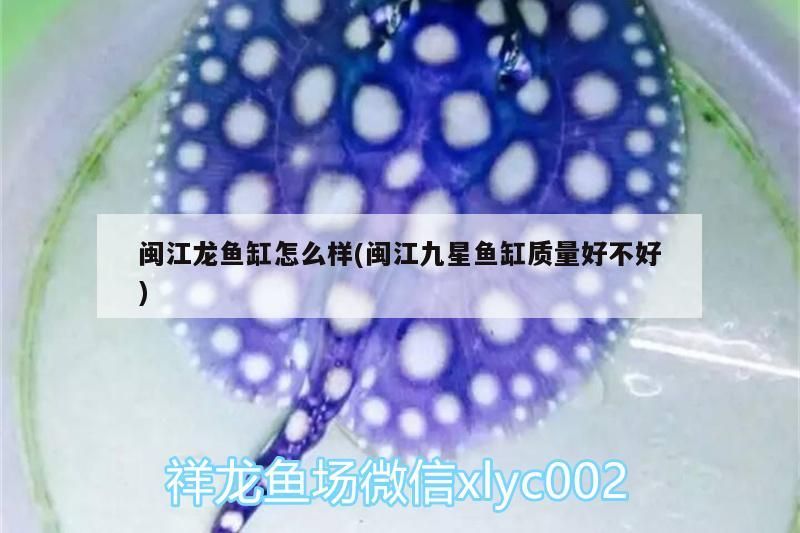 閩江龍魚缸怎么樣(閩江九星魚缸質量好不好)（閩江九星魚缸質量好不好、閩江龍魚缸怎么樣）