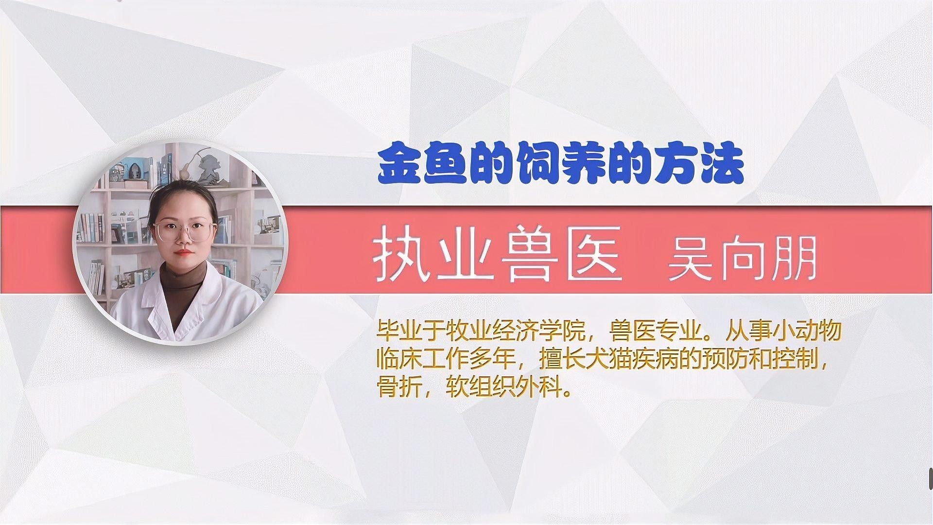 金龍魚和金魚可以混養(yǎng)嗎？（龍魚和金魚可以混養(yǎng)嗎？）