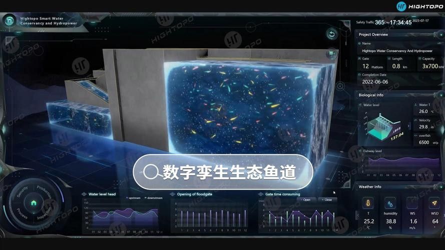 龍魚認主后如何保持互動？（魚認主后，它們會變得更加親近和依賴主人，為了保持與龍魚的互動）