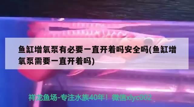 魚缸增氧泵有必要一直開著嗎安全嗎(魚缸增氧泵需要一直開著嗎)（魚缸增氧泵有必要一直開著嗎） 魚缸增氧泵有必要一直開著嗎安全嗎(魚缸增氧泵需要一直開著嗎)（魚缸增氧泵有必要一直開著嗎） 觀賞魚百科