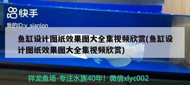 晚上效果（夜晚對人類心理和生理的影響）