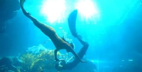 臨汾水族館：臨汾區南水族館 臨汾水族館：臨汾區南水族館 觀賞魚百科 第1張