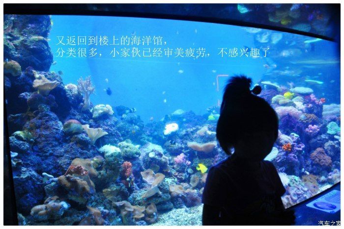 臨汾水族館：臨汾區南水族館 臨汾水族館：臨汾區南水族館 觀賞魚百科 第2張