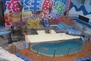 臨汾水族館：臨汾區南水族館 臨汾水族館：臨汾區南水族館 觀賞魚百科 第7張