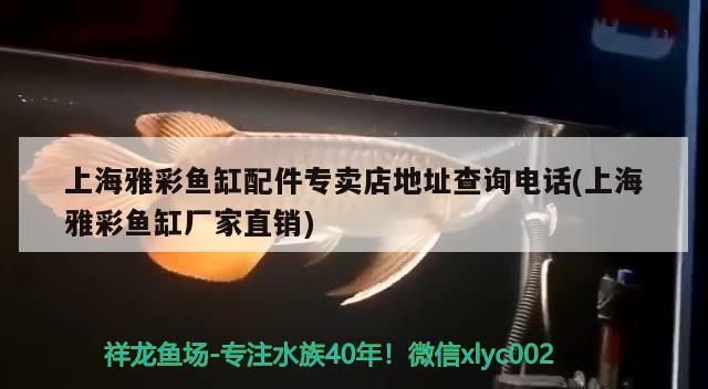 魚缸有哪些牌子質量好耐用(什么牌子魚缸質量最好)（上海雅彩魚缸配件專賣店地址查詢） 魚缸有哪些牌子質量好耐用(什么牌子魚缸質量最好)（上海雅彩魚缸配件專賣店地址查詢） 觀賞魚百科