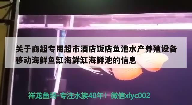 關于商超專用超市酒店飯店魚池水產養殖設備移動海鮮魚缸海鮮缸海鮮池的信息（南京海鮮池廠家喂養海鮮需要哪些設備） 關于商超專用超市酒店飯店魚池水產養殖設備移動海鮮魚缸海鮮缸海鮮池的信息（南京海鮮池廠家喂養海鮮需要哪些設備） 觀賞魚百科
