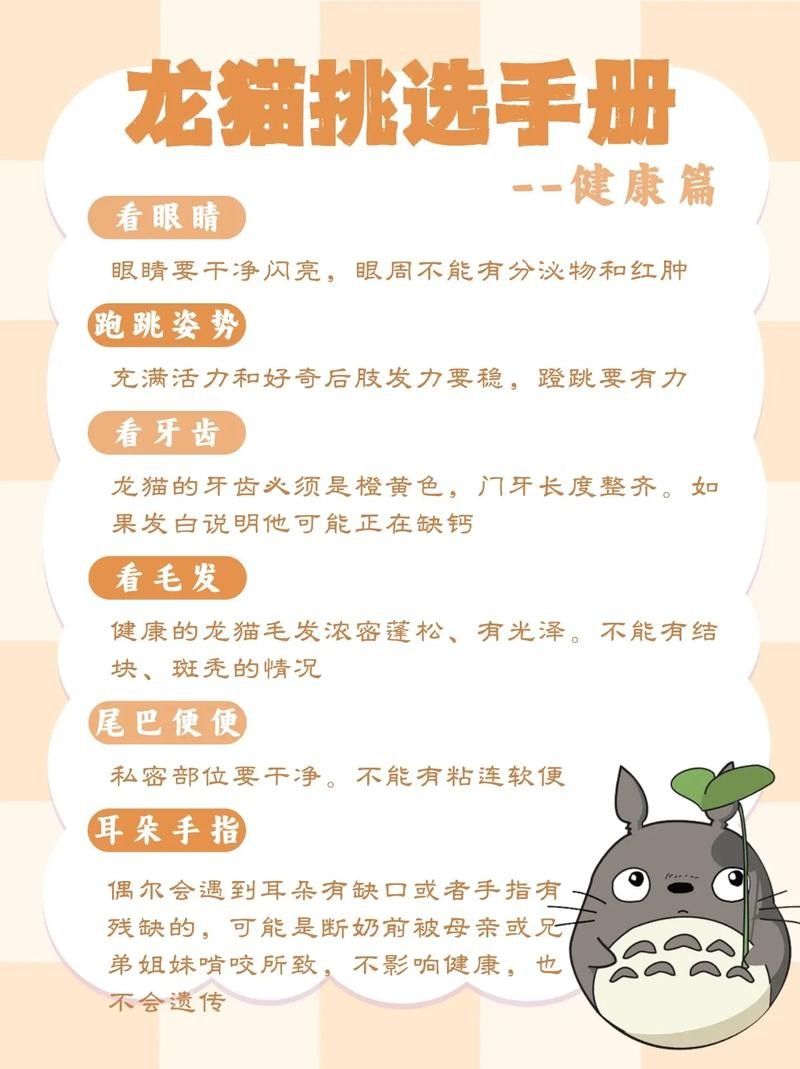 如何挑選健康的龍貓（如何挑選一只健康的龍貓） 如何挑選健康的龍貓（如何挑選一只健康的龍貓） 龍魚百科 第1張
