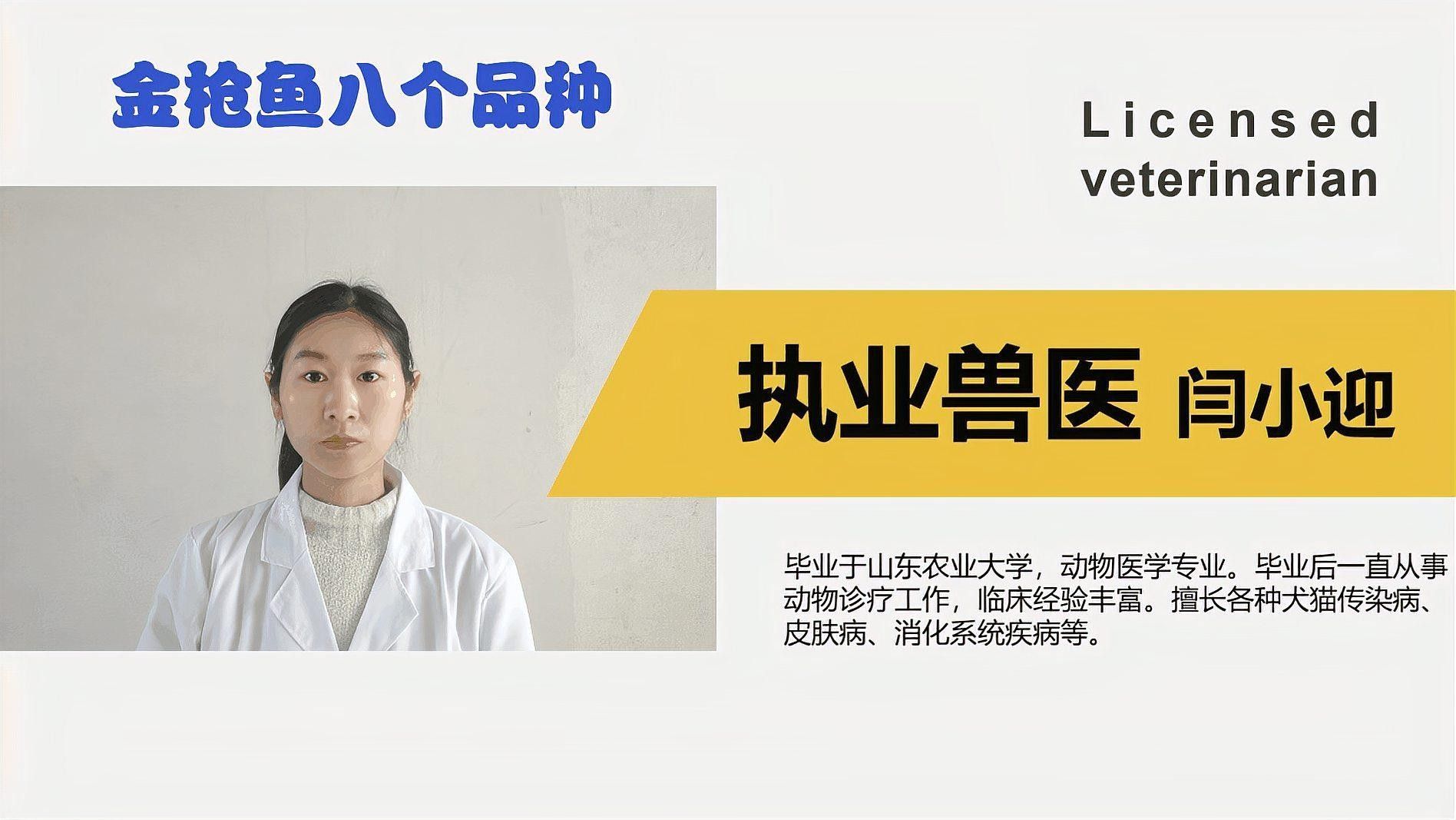 金槍魚有哪些品種？（世界六大金槍魚品種，你嘗過幾種煮湯少加鹽的曉燕聽）