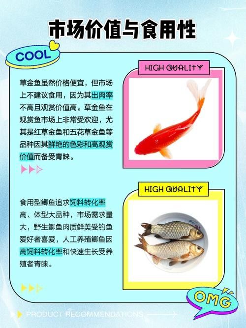 紅鯽魚和草金魚有什么區別（紅鯽魚和草金魚的區別）