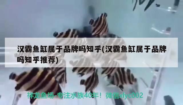 漢霸魚缸屬于品牌嗎知乎(漢霸魚缸屬于品牌嗎知乎推薦)（揭秘漢霸魚缸屬于品牌嗎）
