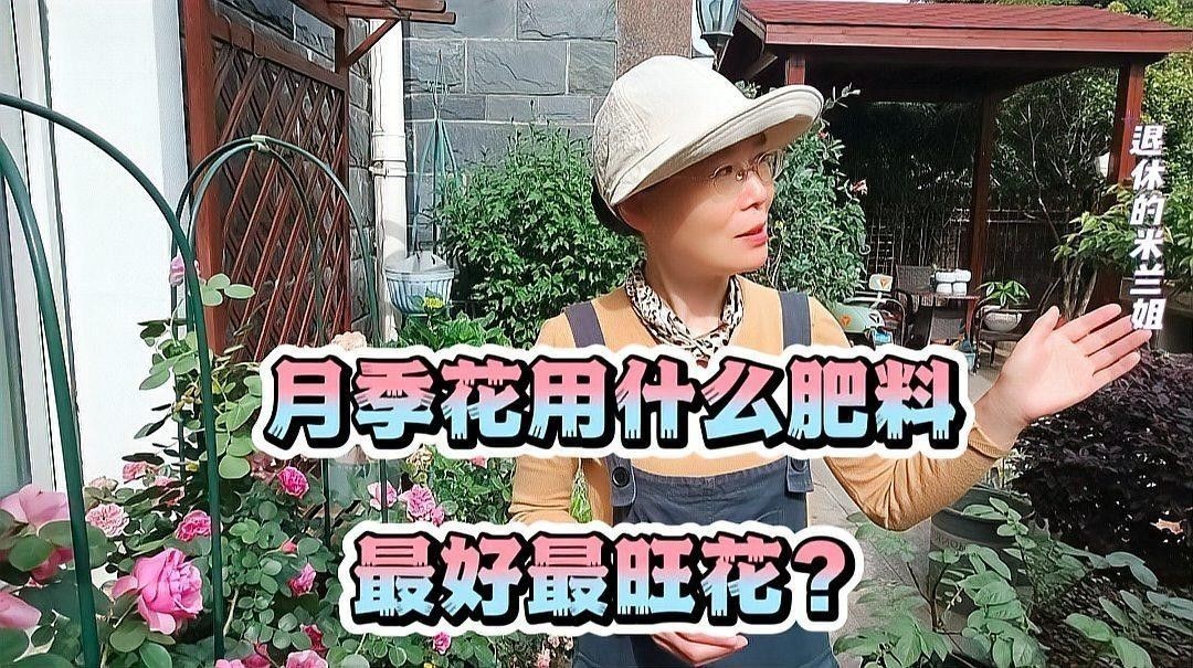 紅龍?jiān)录径臼┓史椒ǎ浚t龍?jiān)录径驹趺词┓剩臼┓首⒁馐马?xiàng)） 紅龍?jiān)录径臼┓史椒ǎ浚t龍?jiān)录径驹趺词┓剩臼┓首⒁馐马?xiàng)） 龍魚百科 第5張