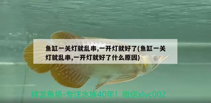 想買海鮮，第一市場什么時候關門呢，蘭州哪里有賣魚的夜市（三亞第一集貿市場） 想買海鮮，第一市場什么時候關門呢，蘭州哪里有賣魚的夜市（三亞第一集貿市場） 觀賞魚百科 第3張