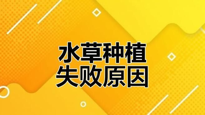 龍魚缸水草種植步驟（魚缸水草總爛根、發黃掌握這5個技巧,新手也能養出“水下森林”） 龍魚缸水草種植步驟（魚缸水草總爛根、發黃掌握這5個技巧,新手也能養出“水下森林”） 龍魚百科 第1張
