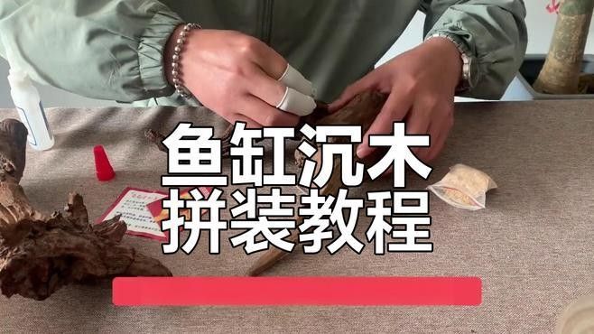 有哪些魚缸造景材料（魚缸造景基礎知識）
