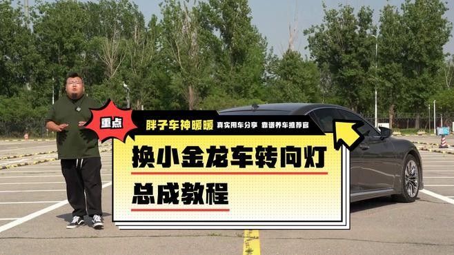 金龍魚燈光多久換一次（——龍魚燈光更換頻率取決于多種因素）