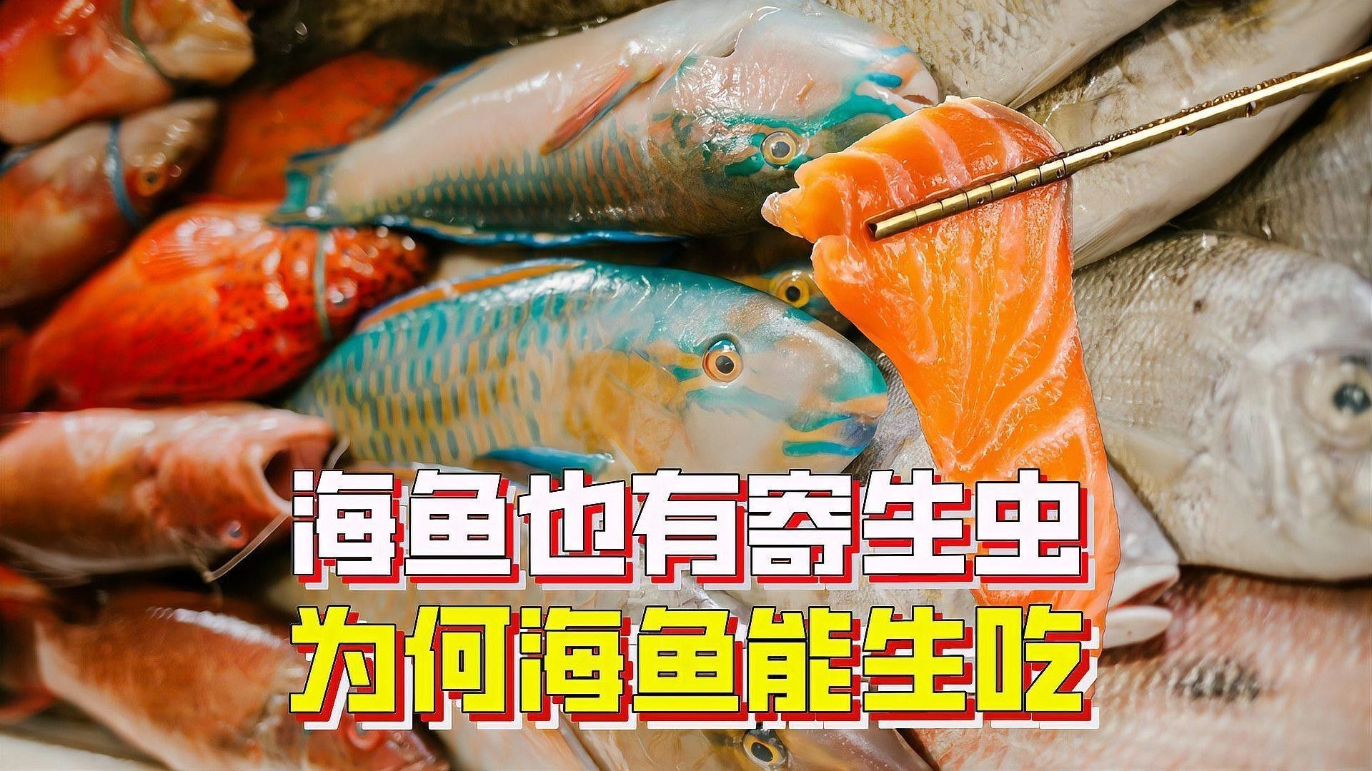 如何區分河魚和海魚（-河魚和海魚的區別及營養價值悅讀） 如何區分河魚和海魚（-河魚和海魚的區別及營養價值悅讀） 龍魚百科 第4張