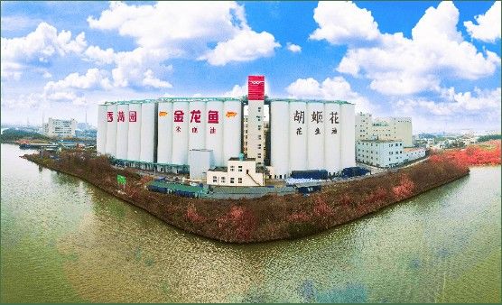 金龍魚何時能實現2050凈零目標？（益海嘉里金龍魚:力爭2050年實現凈零排放） 金龍魚何時能實現2050凈零目標？（益海嘉里金龍魚:力爭2050年實現凈零排放） 龍魚百科 第4張