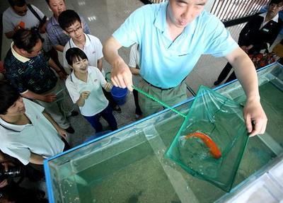 通遼水族館：內蒙古通遼市科爾沁區施介路鑫豐利水族館通遼水族館