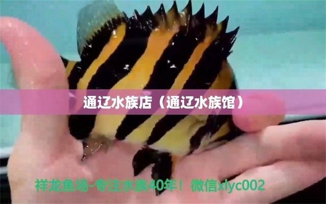 通遼水族館：內蒙古通遼市科爾沁區施介路鑫豐利水族館通遼水族館