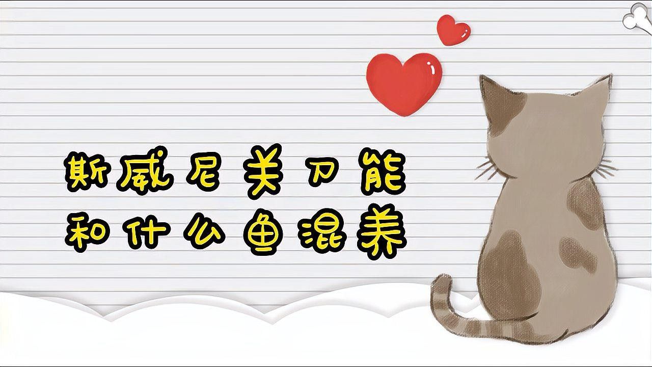關(guān)刀魚(yú)和龍魚(yú)混養(yǎng)需要多久適應(yīng)（關(guān)刀魚(yú)和龍魚(yú)混養(yǎng)的適應(yīng)時(shí)間取決于多種因素）