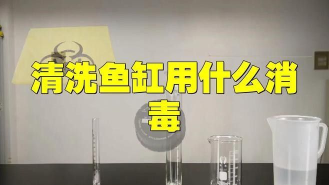 龍魚魚缸清洗后如何消毒（如何清洗和消毒你的龍魚魚缸） 龍魚魚缸清洗后如何消毒（如何清洗和消毒你的龍魚魚缸） 龍魚百科 第2張