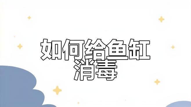 龍魚魚缸清洗后如何消毒（如何清洗和消毒你的龍魚魚缸） 龍魚魚缸清洗后如何消毒（如何清洗和消毒你的龍魚魚缸） 龍魚百科 第3張