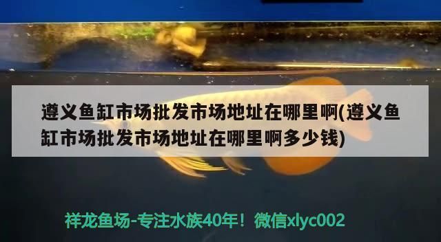 遵義魚缸市場批發市場地址在哪里啊(遵義魚缸市場批發市場地址在哪里啊多少錢)（遵義魚缸市場批發市場地址在哪里）