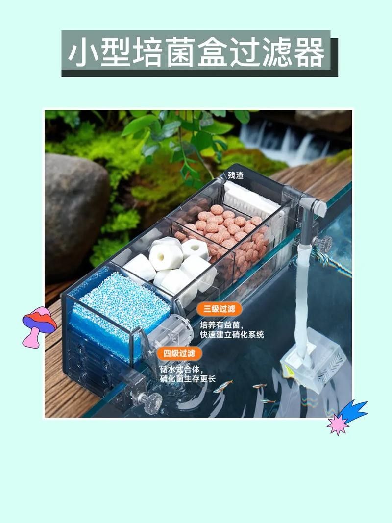 哪種濾材性價比最高（魚缸濾材怎么選）