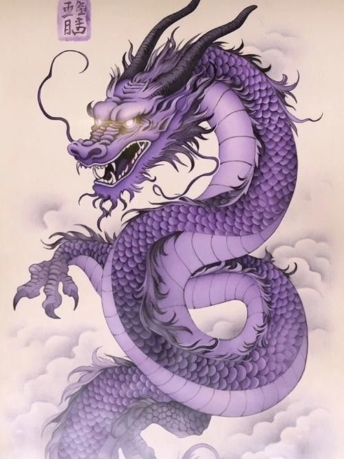 紫底金龍有哪些知名品種？（紫底金龍的品種及種類）
