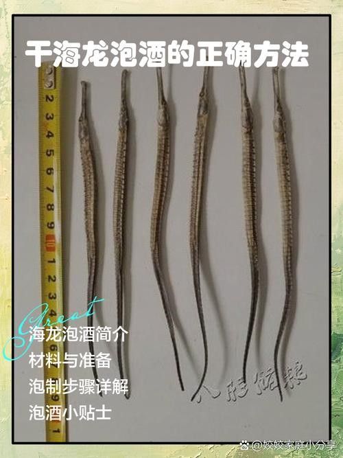 如何判斷海龍魚是否新鮮（判斷海龍魚是否新鮮的標(biāo)準(zhǔn)） 如何判斷海龍魚是否新鮮（判斷海龍魚是否新鮮的標(biāo)準(zhǔn)） 龍魚百科 第12張