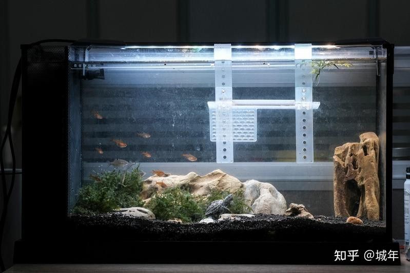晶龍魚缸有哪些型號(hào)（京東龍魚缸水族箱品牌排行榜京東龍魚缸過濾排行榜） 晶龍魚缸有哪些型號(hào)（京東龍魚缸水族箱品牌排行榜京東龍魚缸過濾排行榜） 龍魚百科 第7張