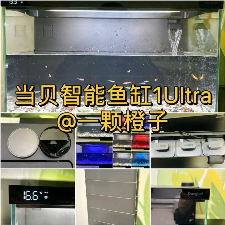 晶龍魚缸有哪些型號(hào)（京東龍魚缸水族箱品牌排行榜京東龍魚缸過濾排行榜） 晶龍魚缸有哪些型號(hào)（京東龍魚缸水族箱品牌排行榜京東龍魚缸過濾排行榜） 龍魚百科 第8張