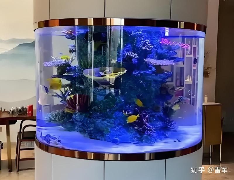 晶龍魚缸有哪些型號(hào)（京東龍魚缸水族箱品牌排行榜京東龍魚缸過濾排行榜） 晶龍魚缸有哪些型號(hào)（京東龍魚缸水族箱品牌排行榜京東龍魚缸過濾排行榜） 龍魚百科 第10張