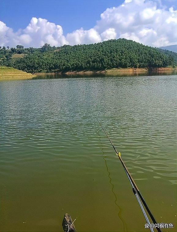 如何快速提升釣魚技能（如何快速提升釣魚技能，學會這八條釣魚技巧，新手變大師）