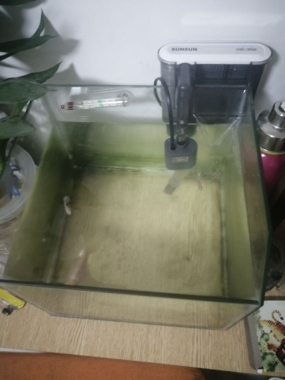 加個裝備
