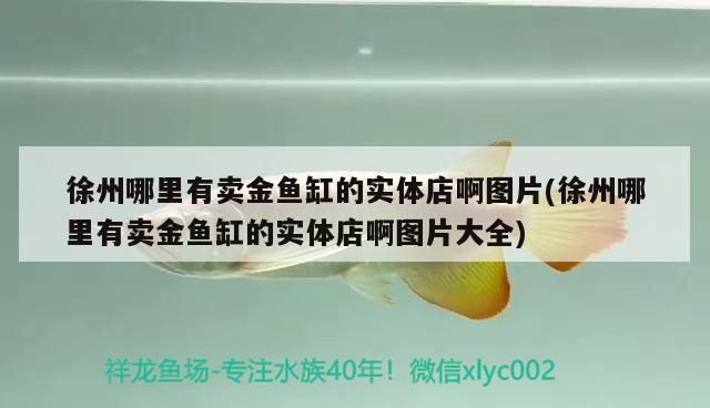 徐州哪里有賣金魚缸的實體店啊圖片(徐州哪里有賣金魚缸的實體店啊圖片大全)（徐州哪里有賣金魚缸的實體店） 徐州哪里有賣金魚缸的實體店啊圖片(徐州哪里有賣金魚缸的實體店啊圖片大全)（徐州哪里有賣金魚缸的實體店） 觀賞魚百科