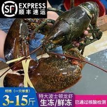 澳龍的價格是多少？（澳洲龍蝦價格行情走勢：澳洲龍蝦價格行情走勢(）