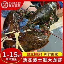 澳龍的價格是多少？（澳洲龍蝦價格行情走勢：澳洲龍蝦價格行情走勢(）