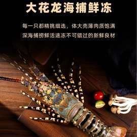 澳龍的價格是多少？（澳洲龍蝦價格行情走勢：澳洲龍蝦價格行情走勢(）