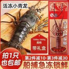 澳龍的價格是多少？（澳洲龍蝦價格行情走勢：澳洲龍蝦價格行情走勢(）