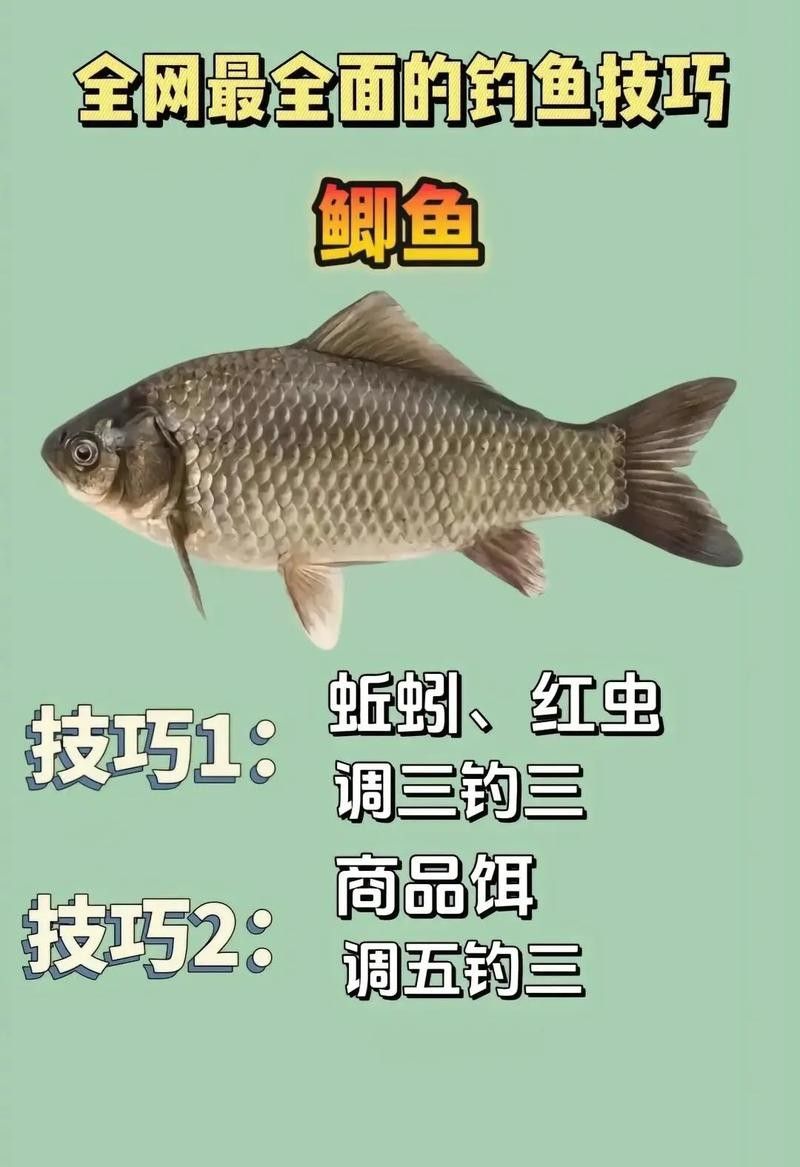 南<strong><mark>屏山</mark></strong>龍魚釣魚技巧（南<strong><mark>屏山</mark></strong>龍魚釣魚技巧摘要：南<strong><mark>屏山</mark></strong>龍魚釣魚技巧和知識雷龍魚怎么釣）